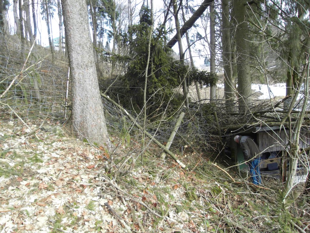 Das Dach des Kugelfangs ist mit abgerissenen Ästen bedeckt und wurde beschädigt