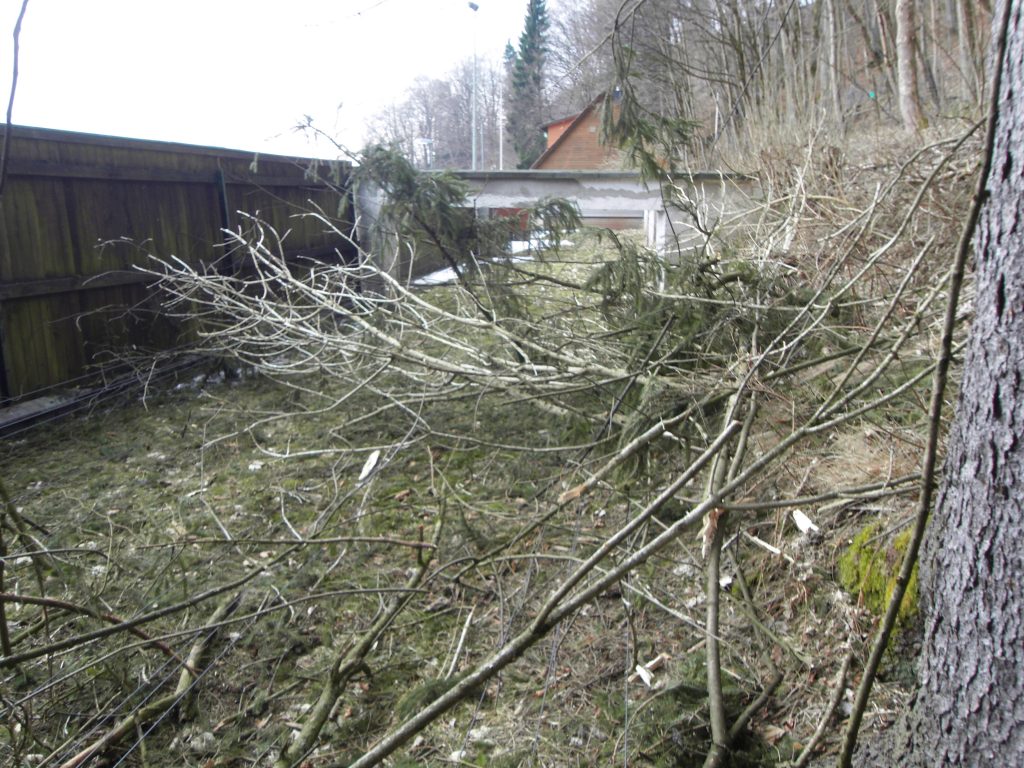 Im Schießkanal liegen einige abgerissene Äste